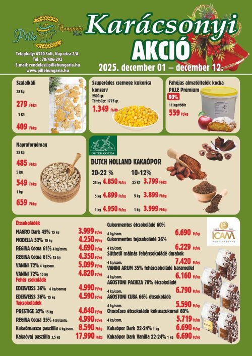 Pille_Karacsony_2025_01